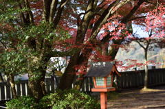 日本の風景