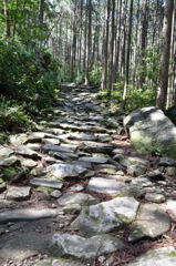 熊野古道
