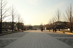 散歩　東京駅２