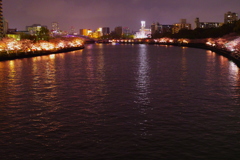 水都大阪 春夜の賑わい