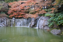 池  滝  紅葉