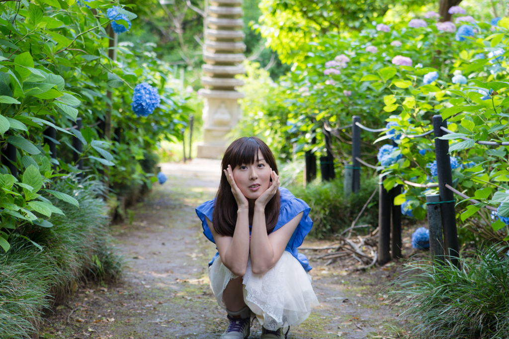 紫陽花小道