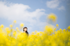 canola