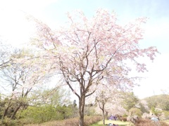 春の終わり