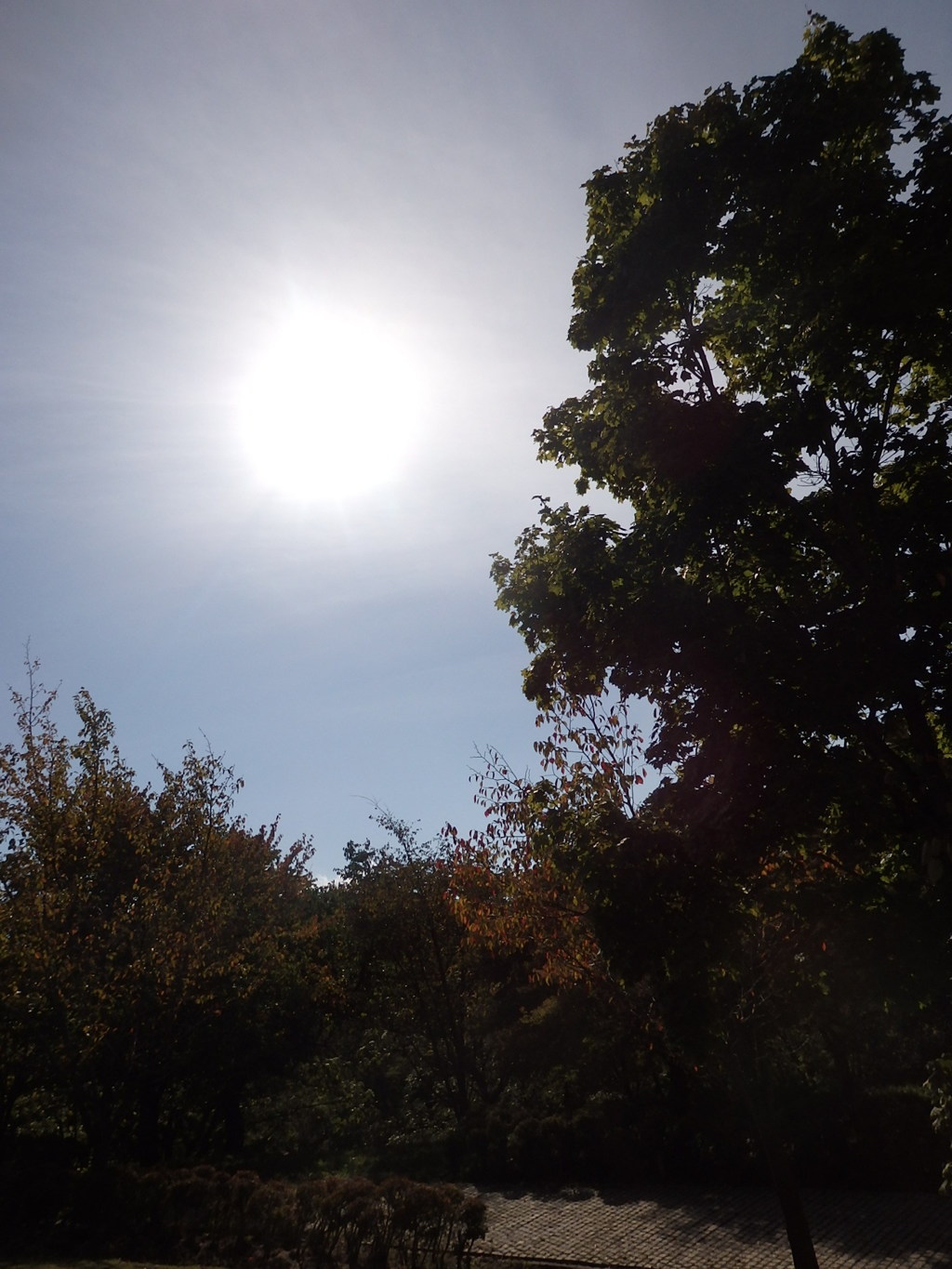 青空に太陽
