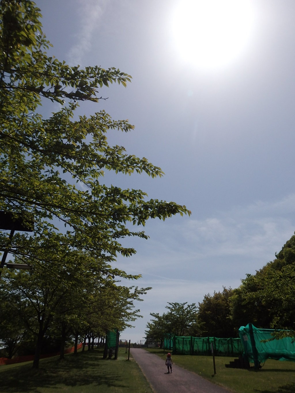 太陽の下