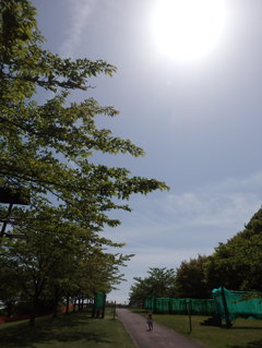 太陽の下