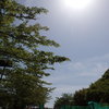 太陽の下