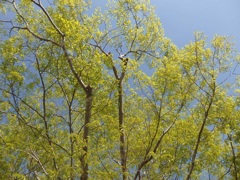 さわやかな4月