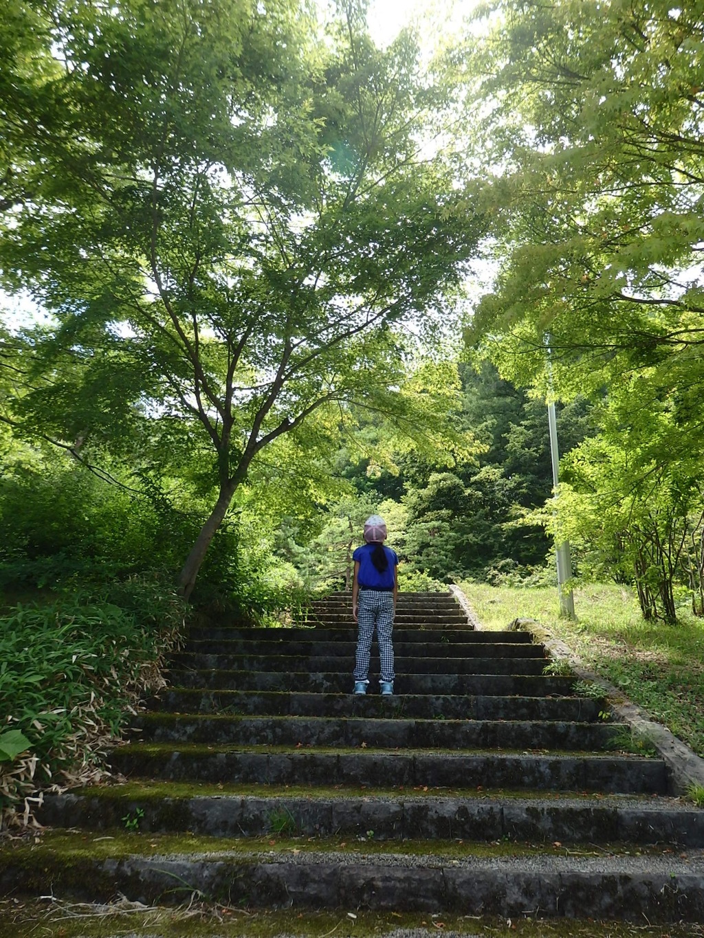 観察中