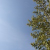 見上げた空