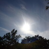秋の太陽