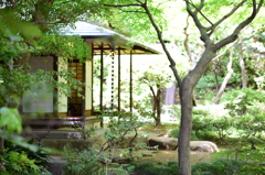 閑