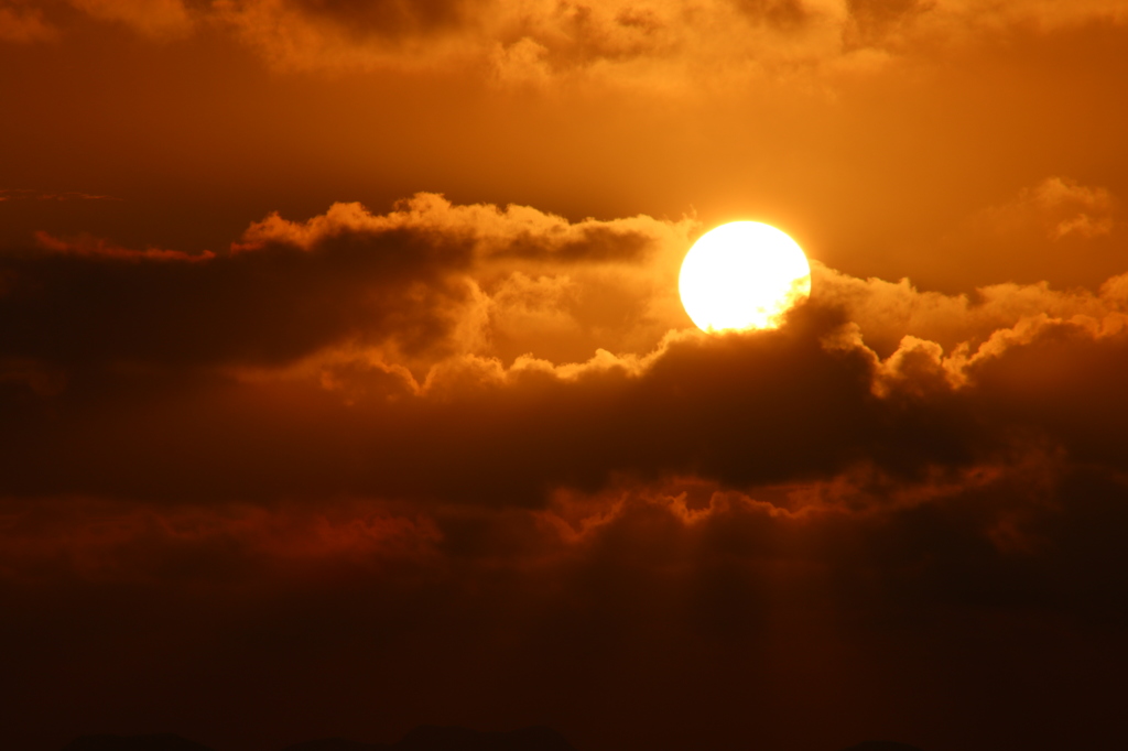 太陽にほえろ