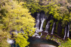 富士宮白糸の滝５