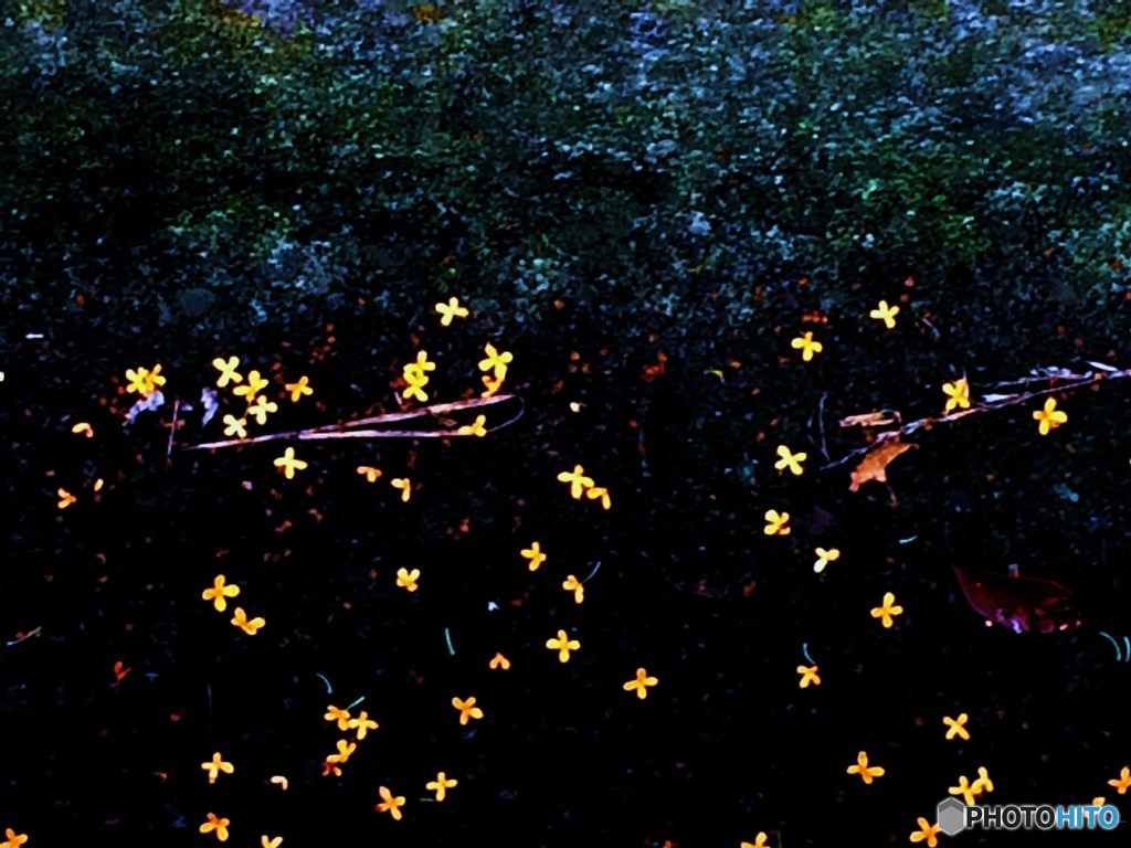 天然プラネタリウム