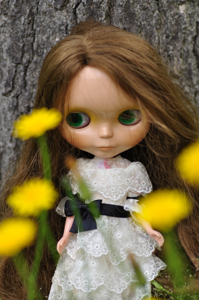 dandelion①