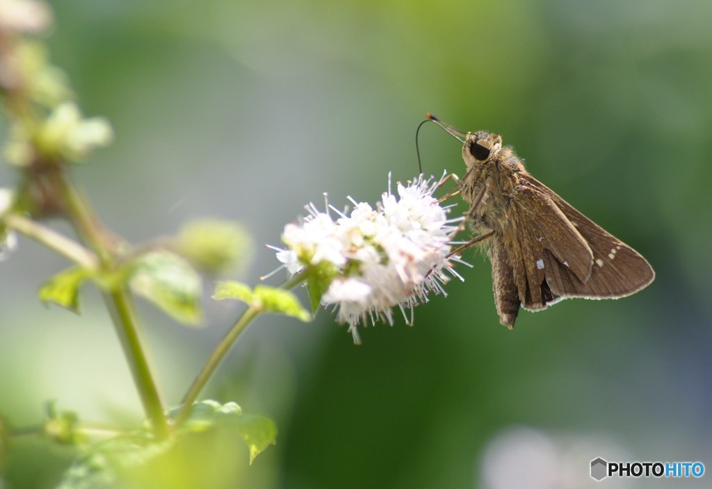 風の中のカフェテリア