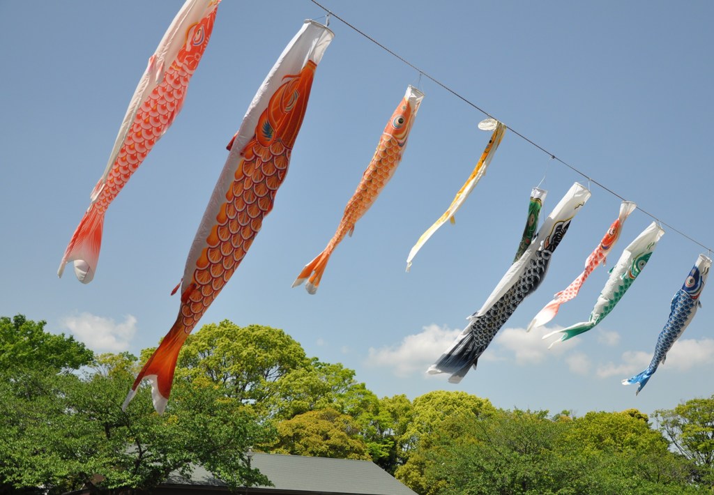 屋根より高い