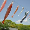 屋根より高い