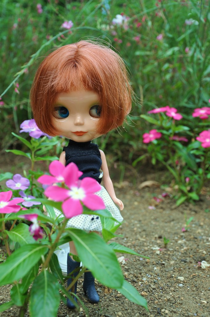 flower　garden②
