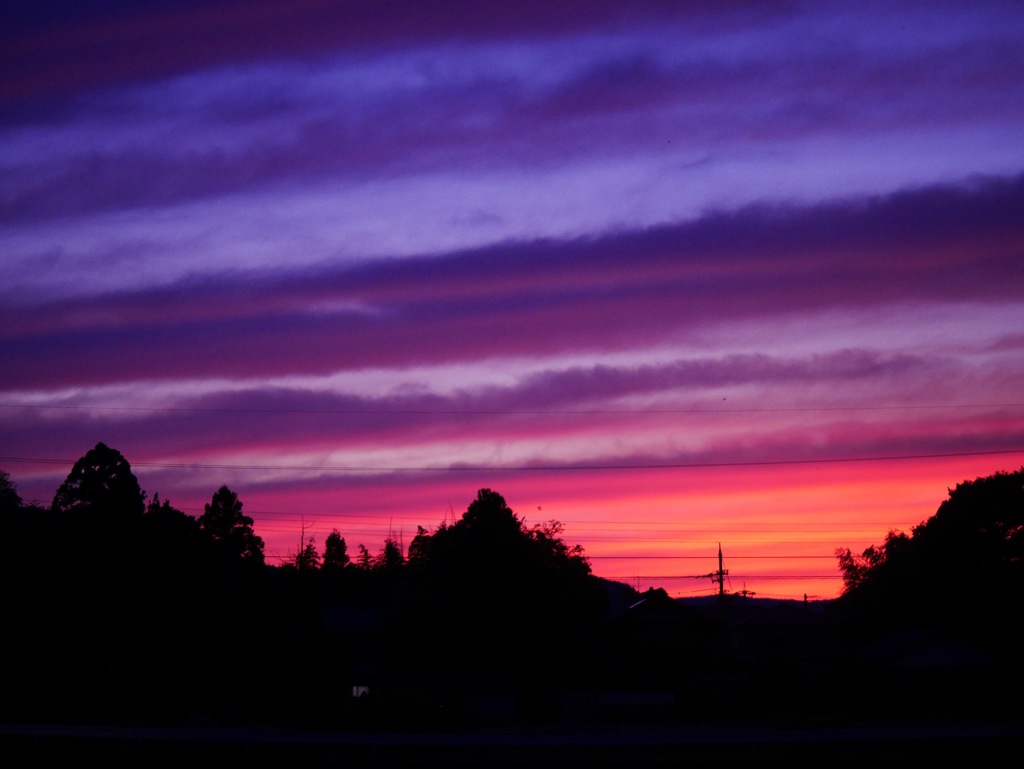 夕焼け