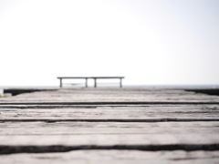 ベンチ
