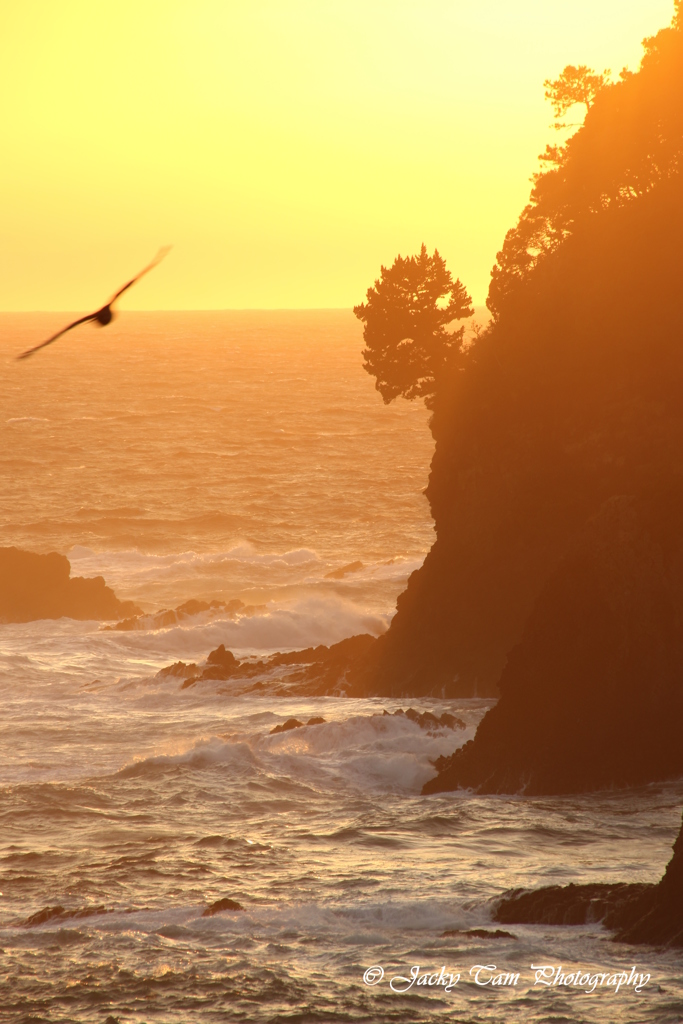 夕照海岸