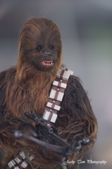 STAR WARS@Hong Kong-scene12