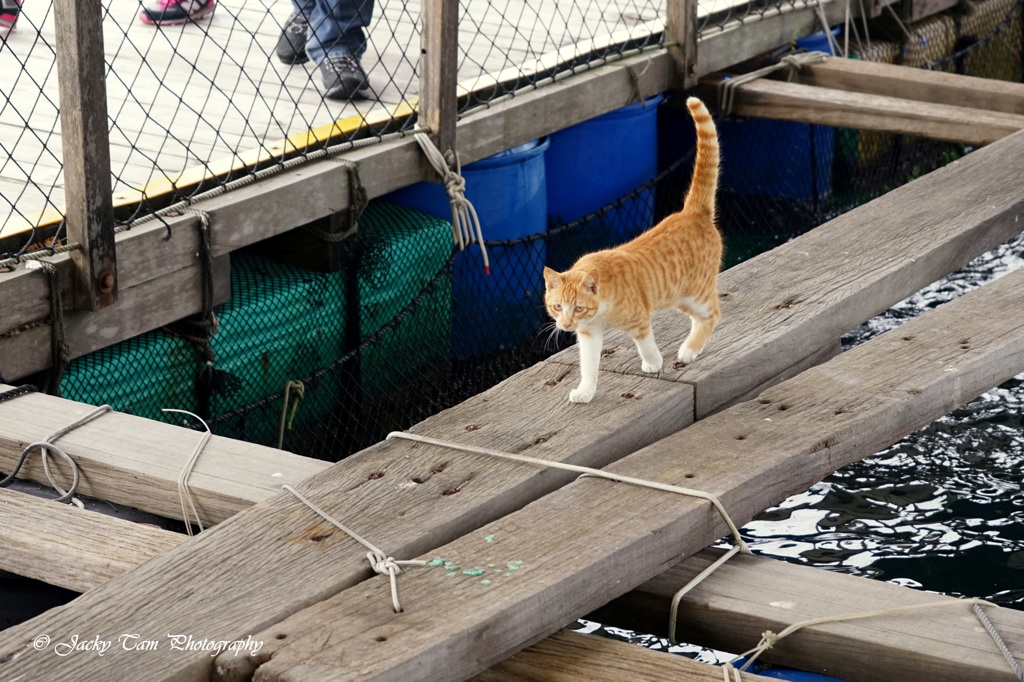 私を見て