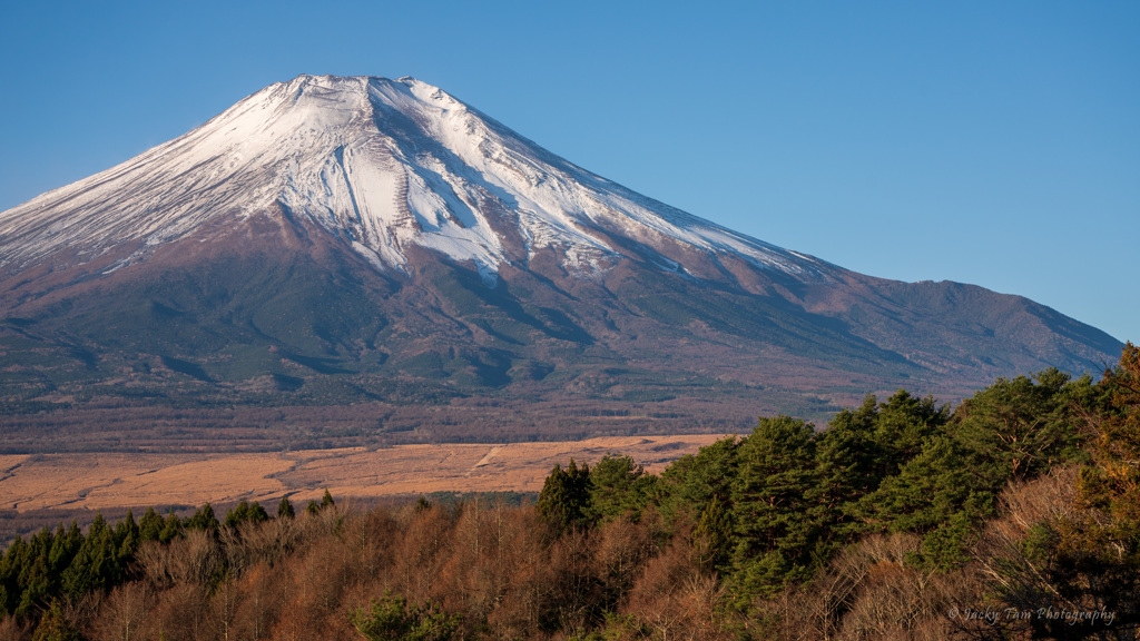 朝の富士山