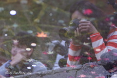 写真は誰なのか