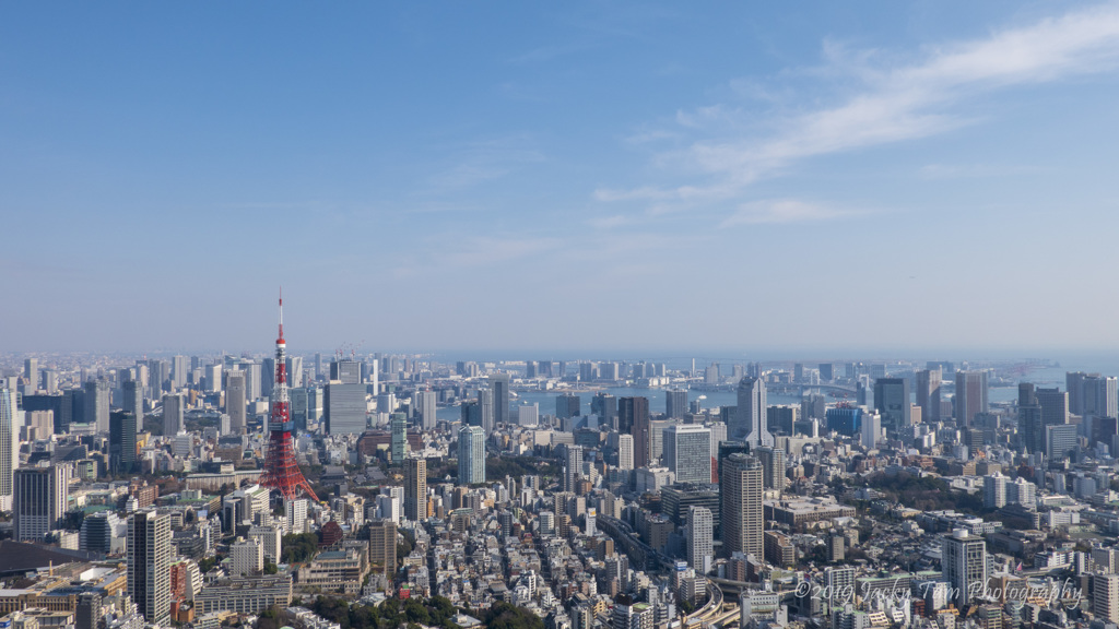 東京物語