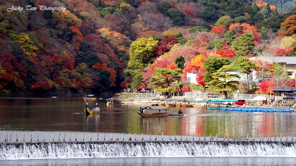 紅葉の踊り