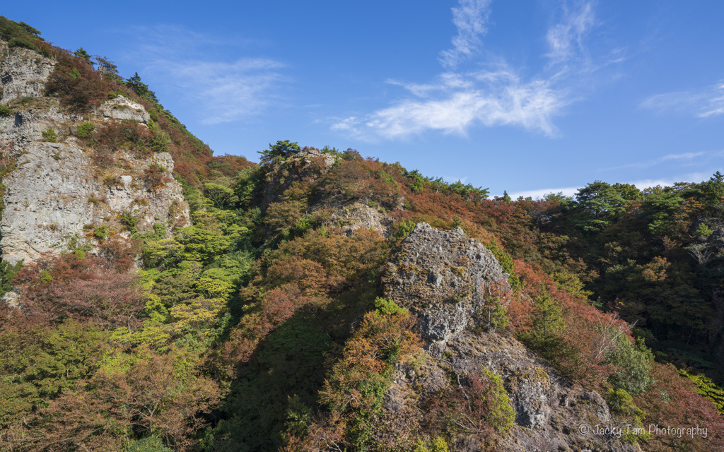 岩の上の紅葉