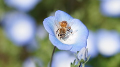 HaPpY DaNcE wItH mY BEE