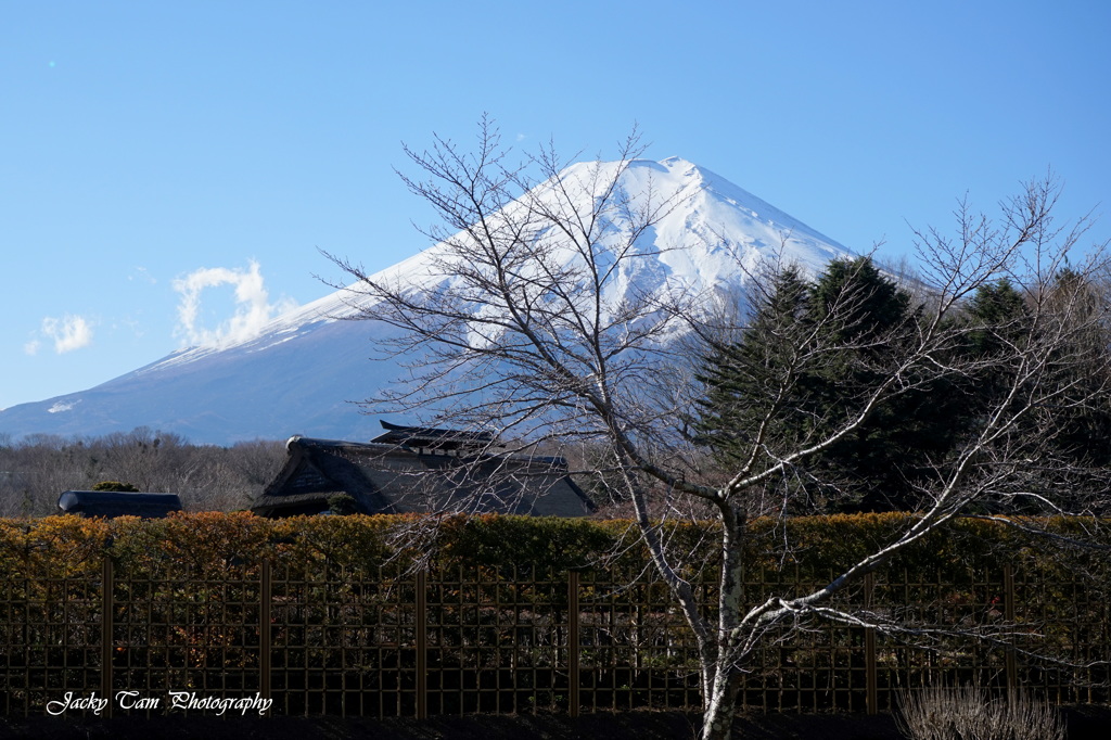 富士の泡