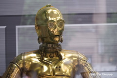 STAR WARS@Hong Kong-scene02