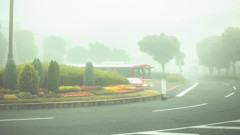 ～ひょっこり～