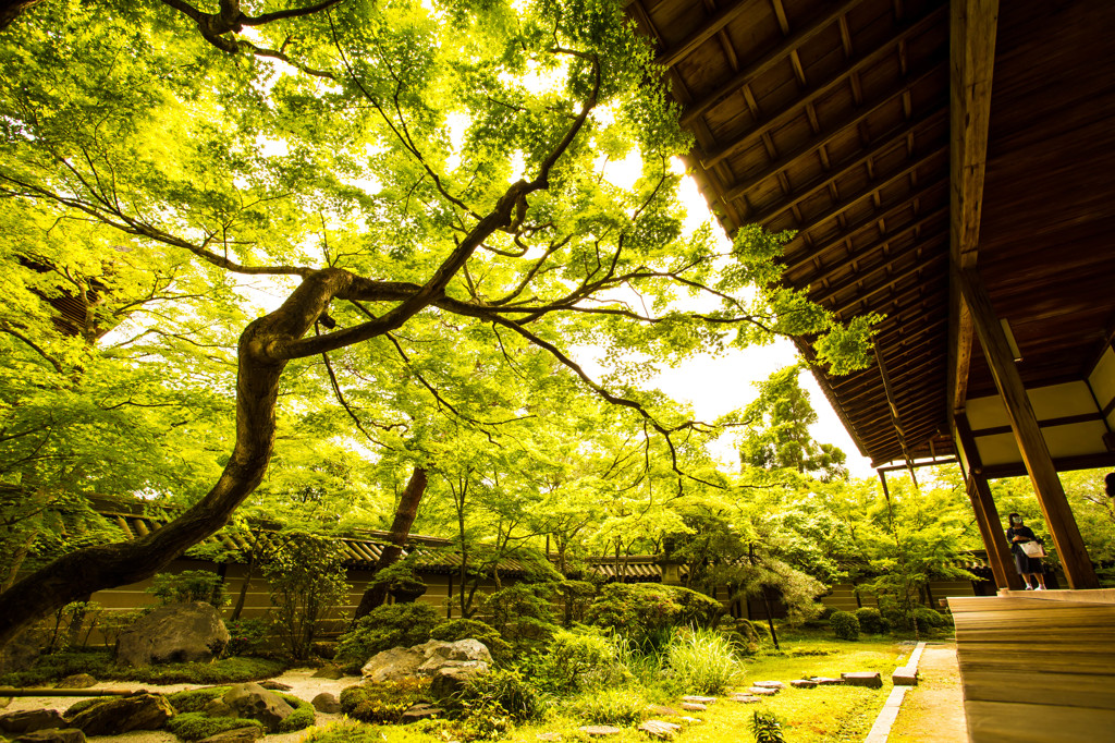 ～左京区の旅～