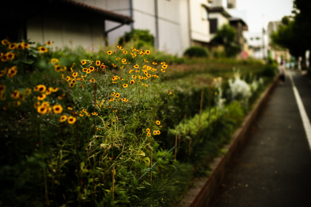 ～家路～