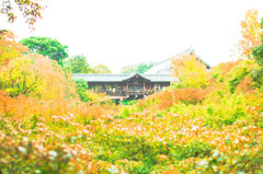 ～少し早かった東福寺～