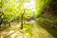 ～優しい場所～