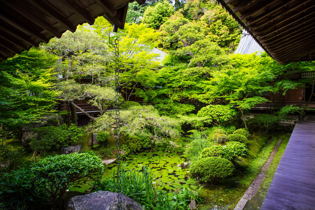 ～左京区の旅～