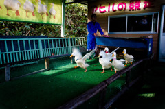 ～人生初めての～　IN　登別