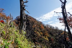 山頂直下の紅葉