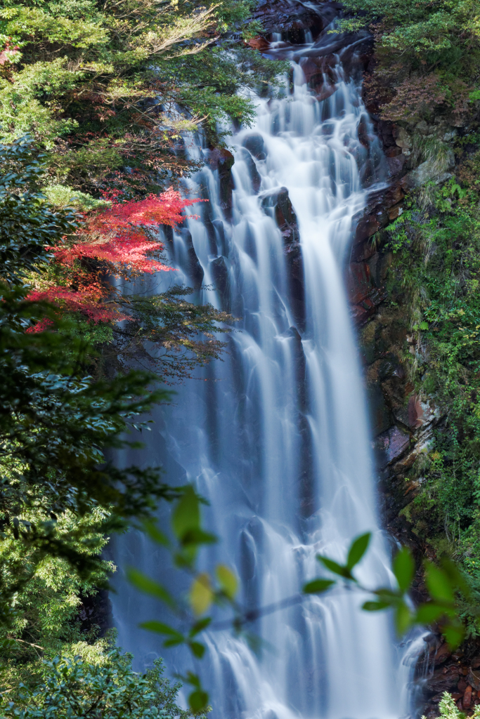 花房の滝