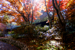 平家の里