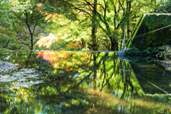 reflection