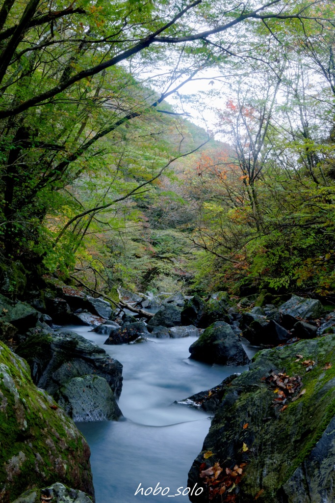 暮雨の滝